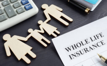 How soon can i borrow from my life insurance policy